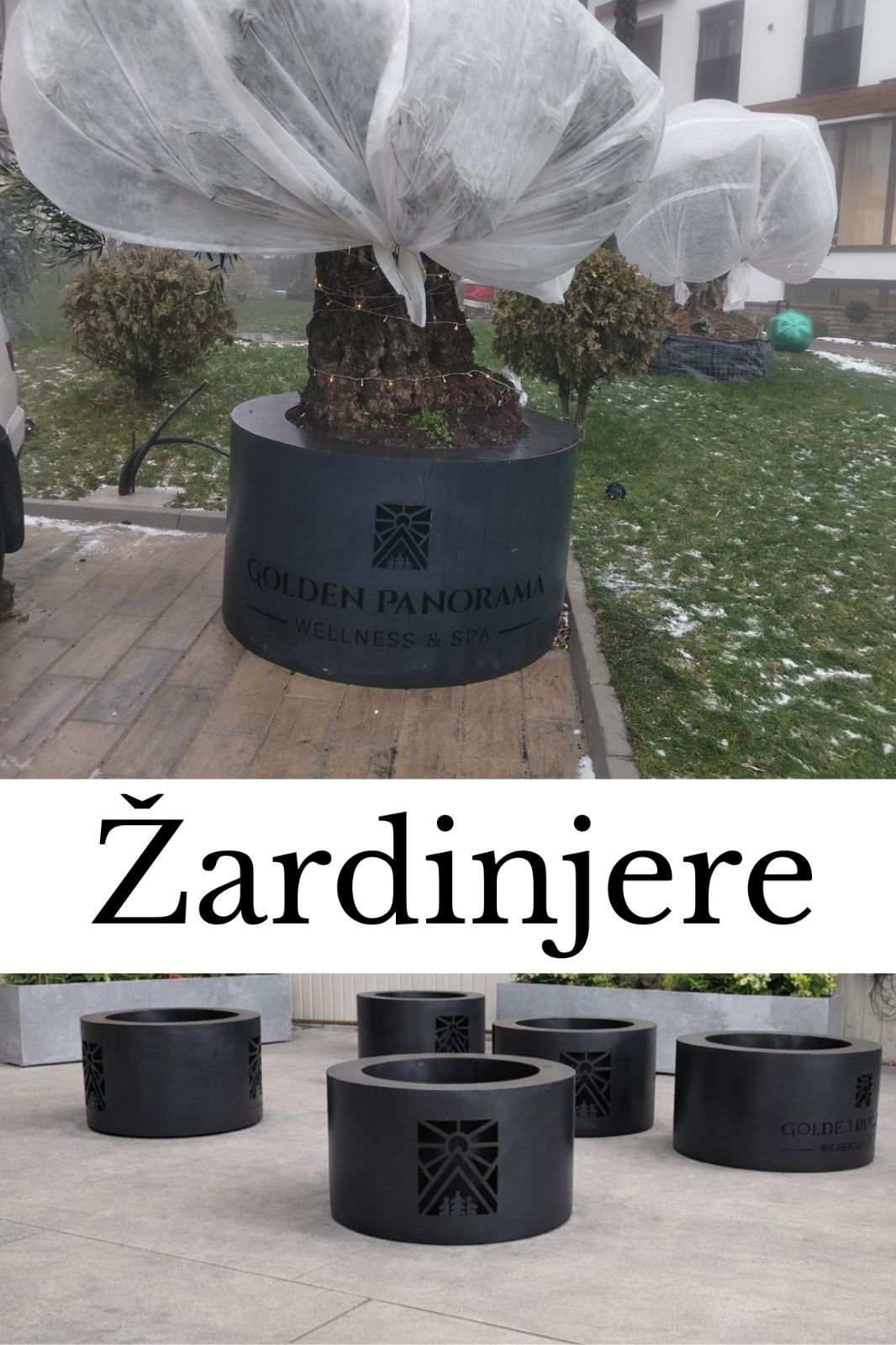 Viber_image_2026 01 08_22 46 41 205